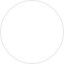 埃尔维斯logo